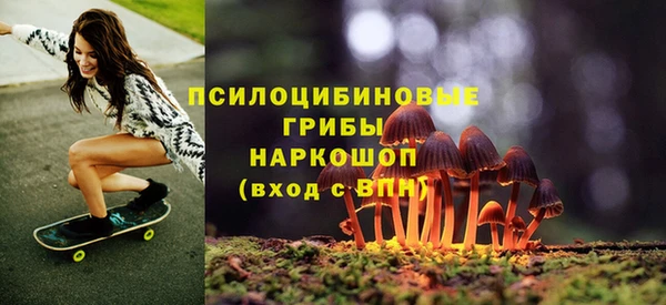 ешки Армянск