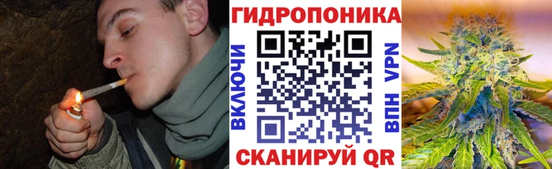 Купить где  Полярные Зори  Бошки марихуана тримм 